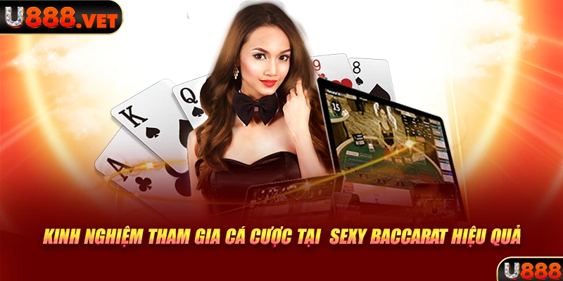 Kinh nghiệm tham gia cá cược tại Sexy Baccarat hiệu quả
