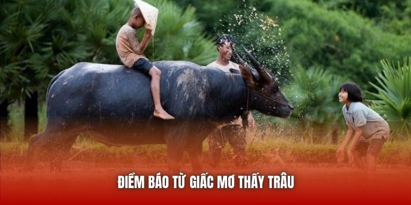 Điềm báo từ giấc mơ thấy trâu