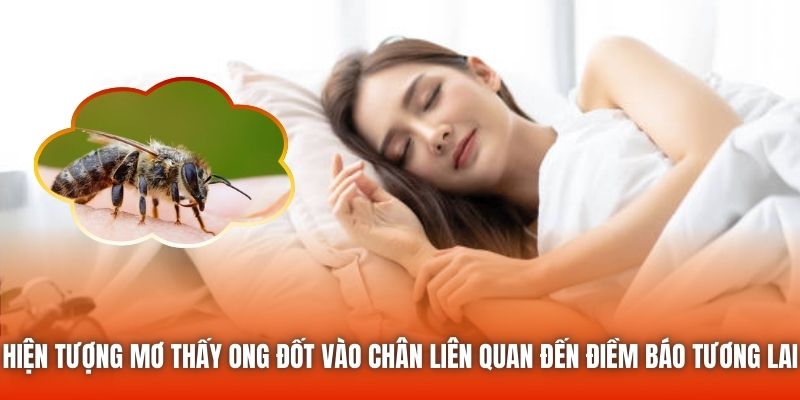 Hiện tượng mơ thấy ong đốt vào chân liên quan đến điềm báo tương lai